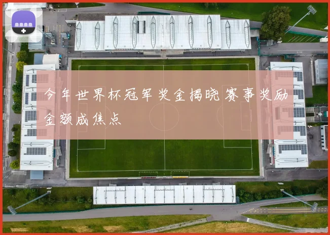 今年世界杯冠军奖金揭晓 赛事奖励金额成焦点