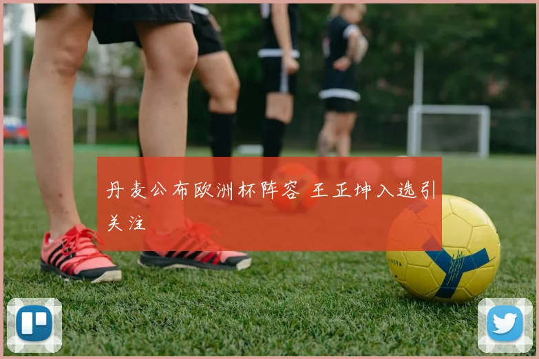 丹麦公布欧洲杯阵容 王正坤入选引关注