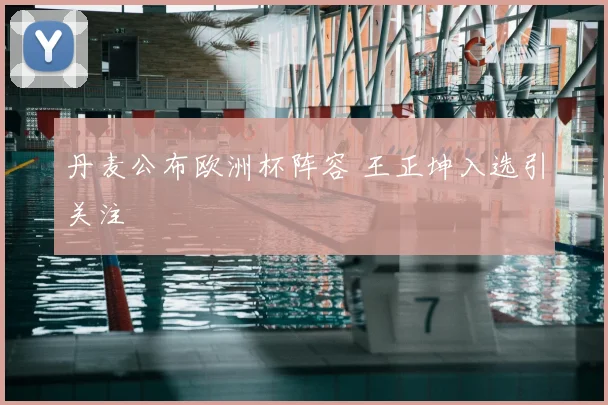 丹麦公布欧洲杯阵容 王正坤入选引关注