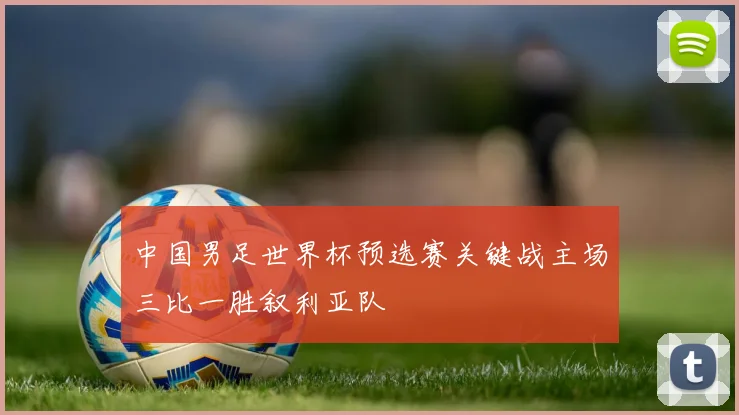 中国男足世界杯预选赛关键战主场三比一胜叙利亚队