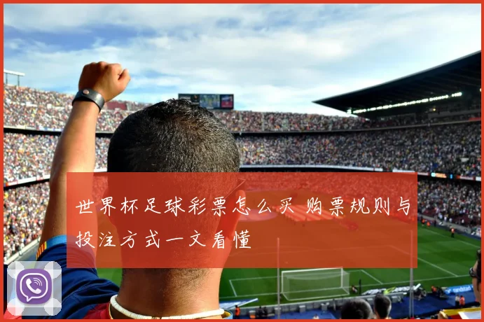 世界杯足球彩票怎么买 购票规则与投注方式一文看懂