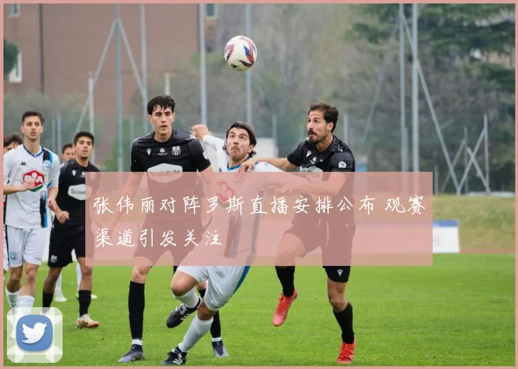 张伟丽对阵罗斯直播安排公布 观赛渠道引发关注