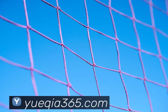 开云手机入口官网品牌故事