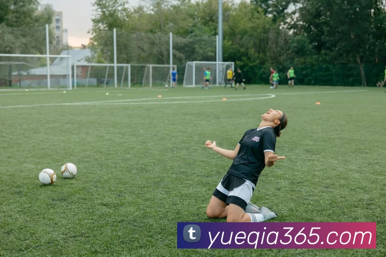 开云手机入口官网服务体系