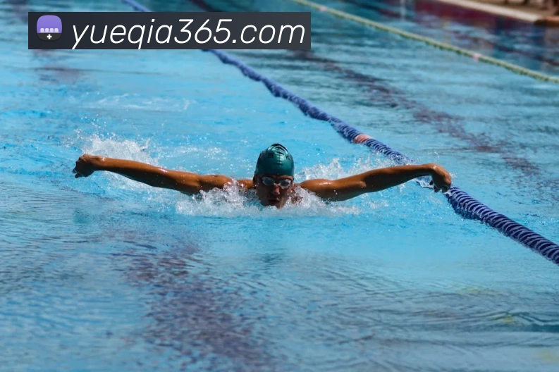 多媒体互动体验