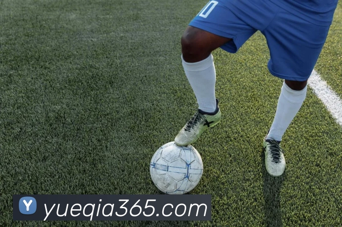 开云手机入口官网APP 体育赛事宣传图